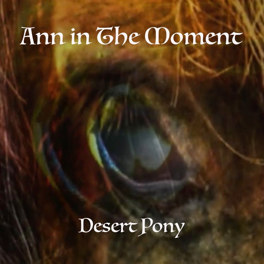 AitM Desert Pony-Single Cover